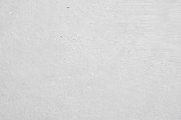 Trusted Bluewell, WV Mold Removal Experts